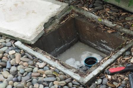 Grease Trap Services